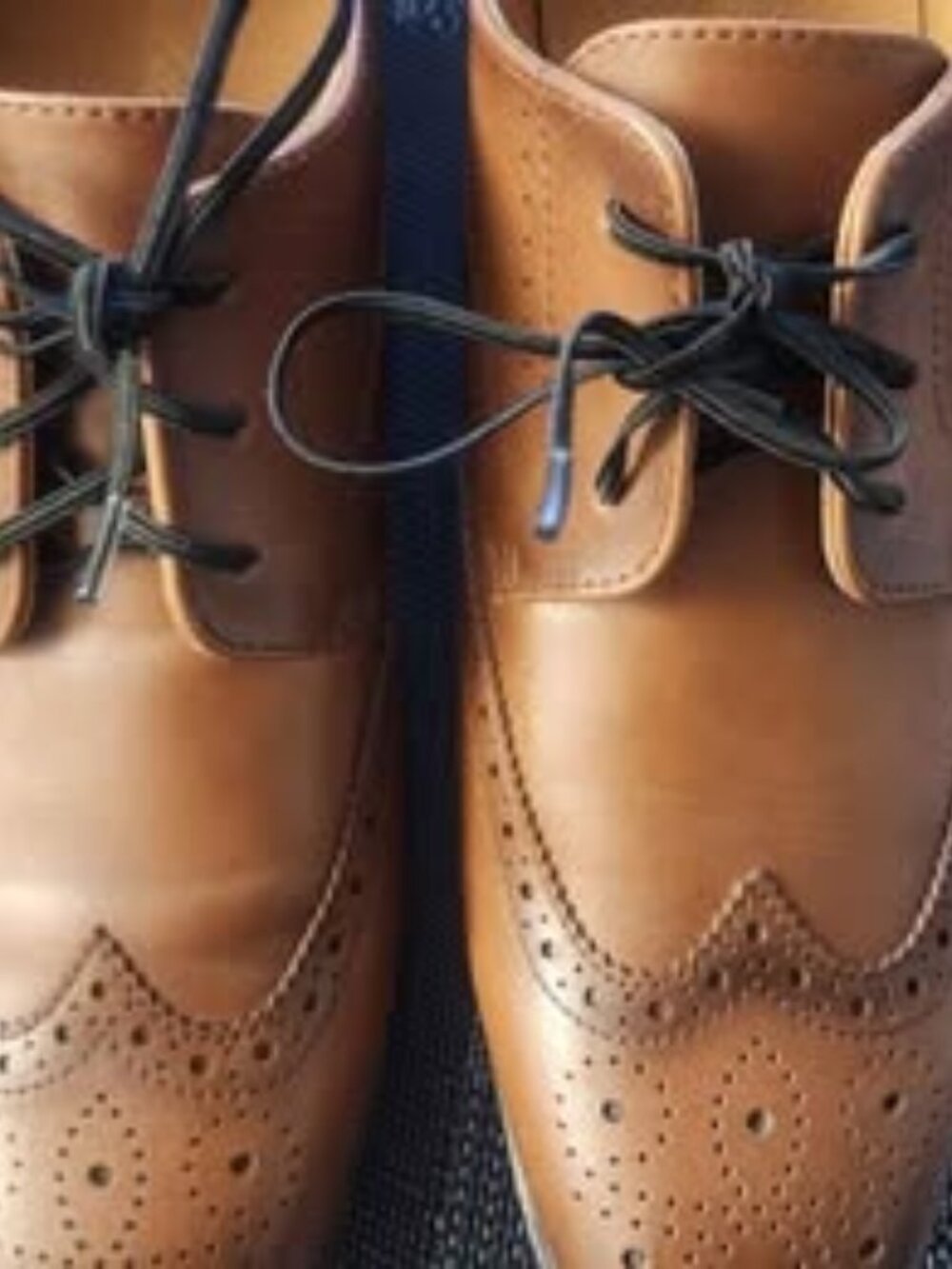 dress shoes taso elbe